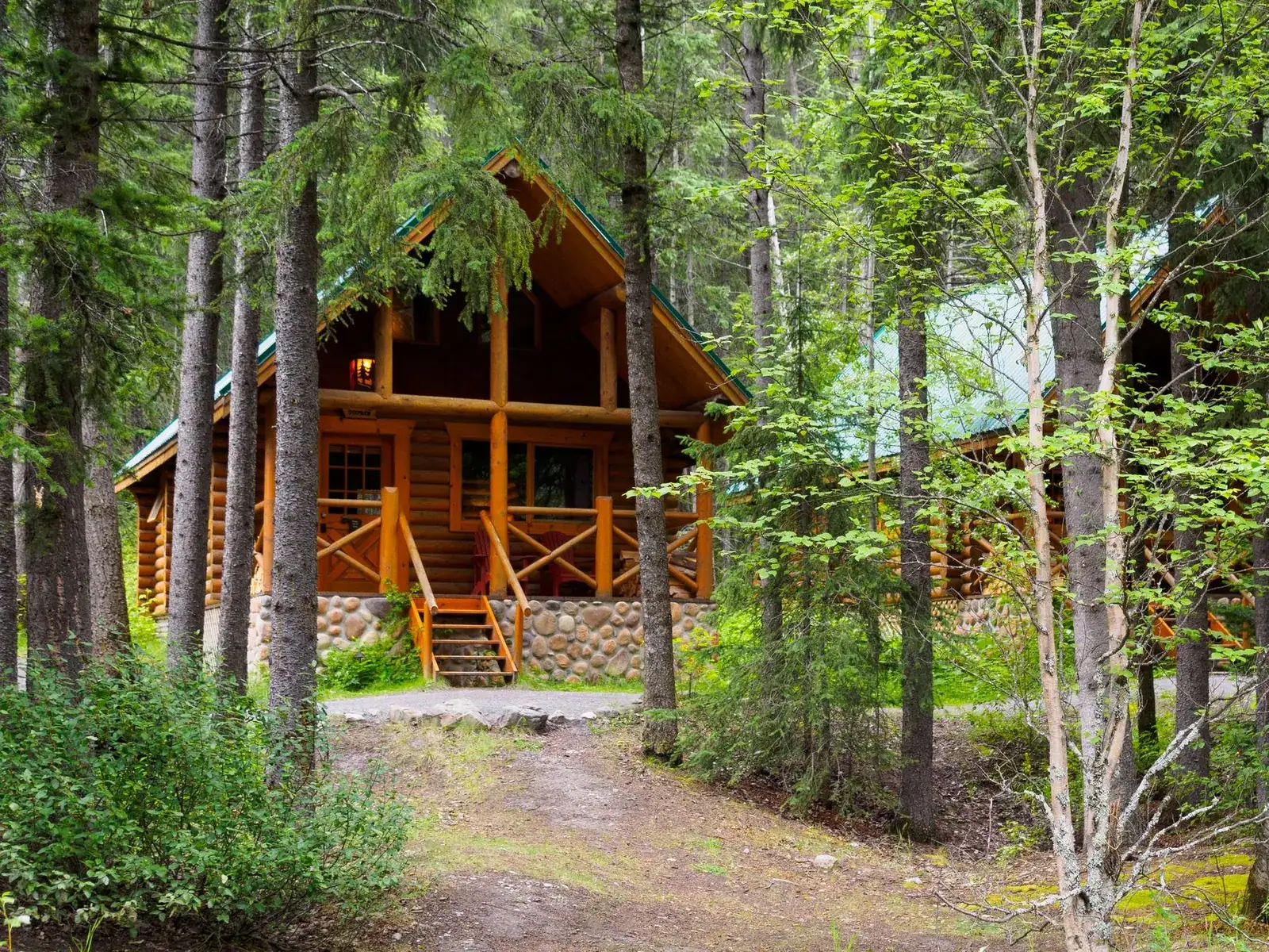 Mountain View Cabin